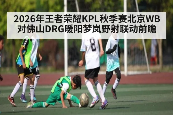 2026年王者荣耀KPL秋季赛北京WB对佛山DRG暖阳梦岚野射联动前瞻 - kaiyun